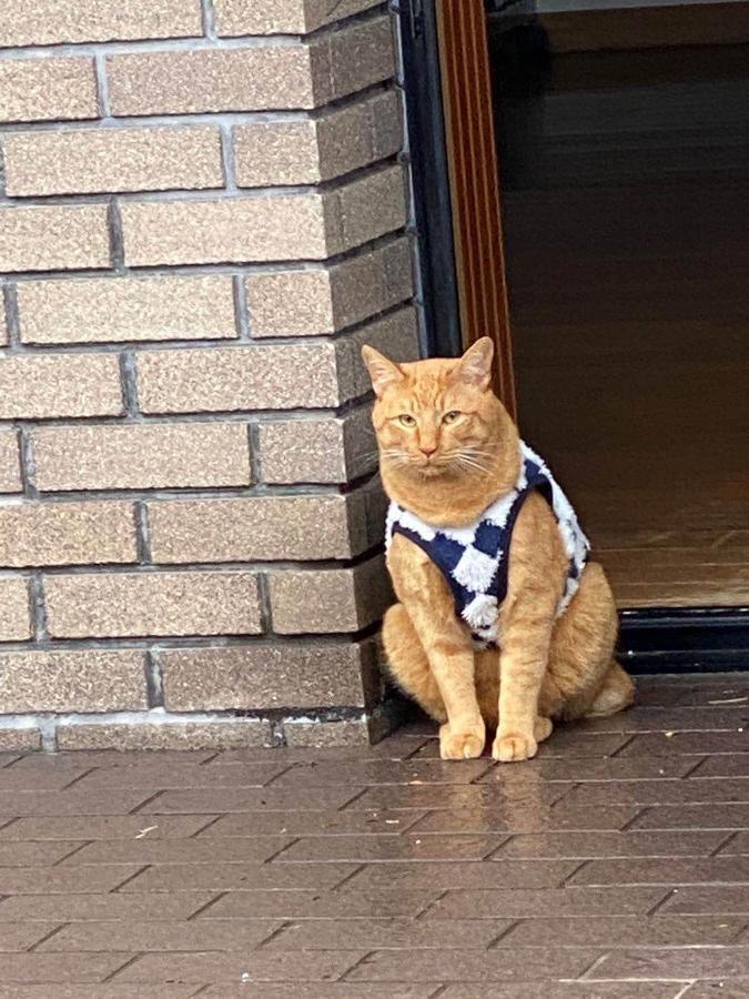 Hotel Hoshi No Sato Kirishima Zewnętrze zdjęcie